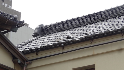 photo_buildings
