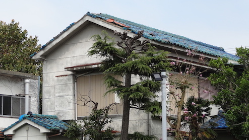 photo_buildings