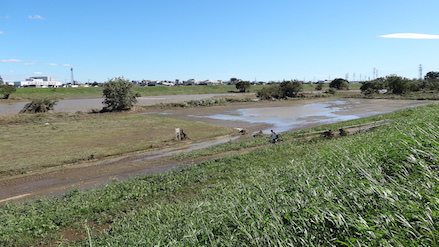 photo_flood