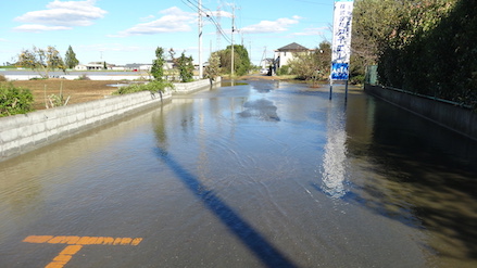photo_flood