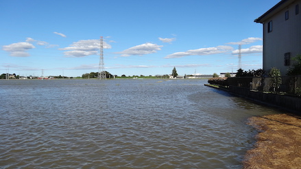 photo_flood