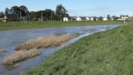 photo_flood