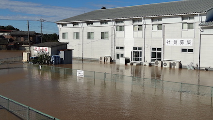 photo_flood