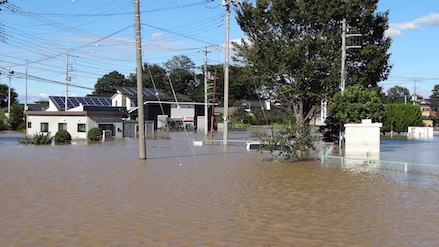 photo_flood