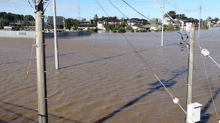 photo_flood