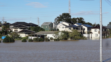 photo_flood