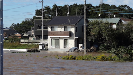 photo_flood