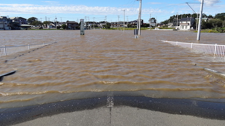 photo_flood